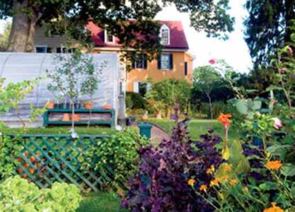Gardening With Heirloom Varieties Image